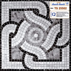Gạch Ceramic lát nền loại 25x25 (cm) Mã số: Mã số: TS 25502