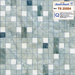 Gạch Ceramic lát nền loại 25x25 (cm) Mã số: TS 25504